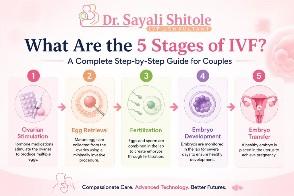 What are the 5 stages of IVF