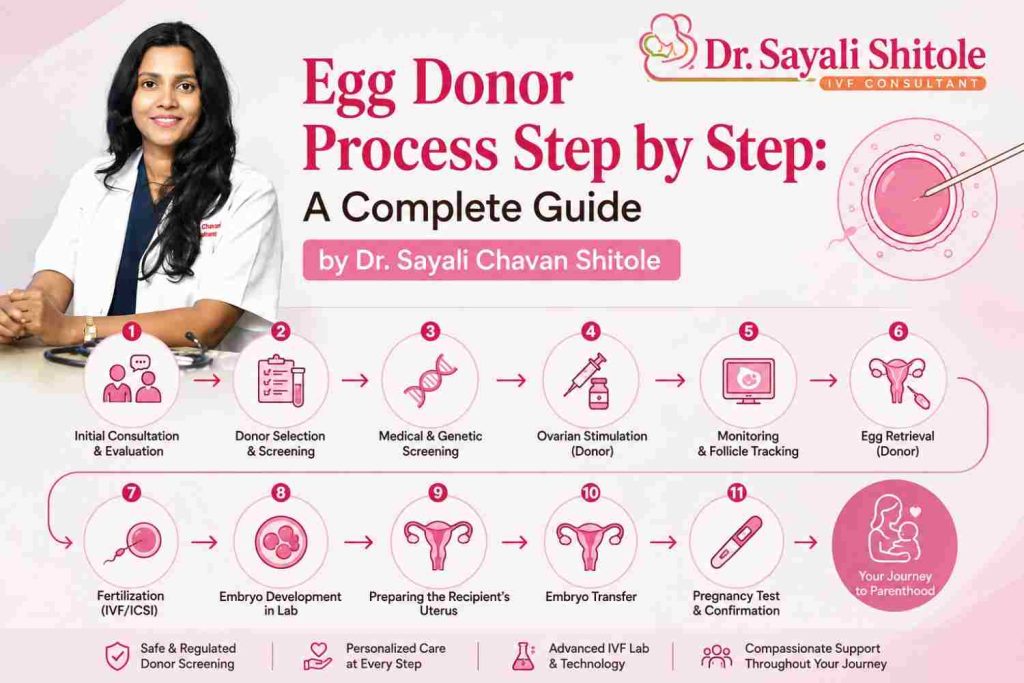 Egg Donor Process Step by Step